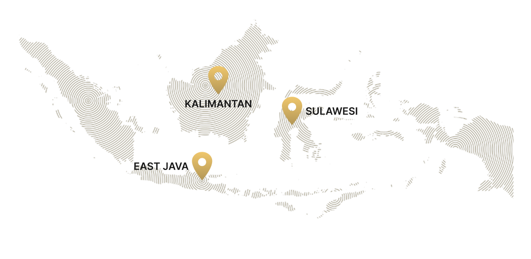Map of Indonesia highlighting Kalimantan, Sulawesi, and East Java