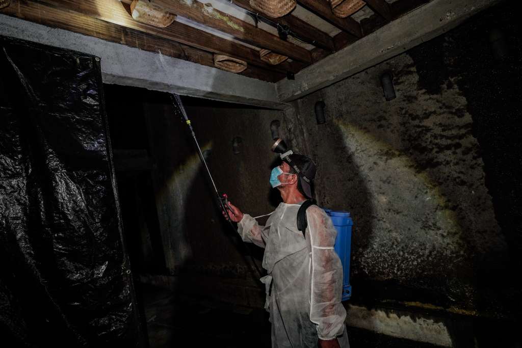 Nest Harvesting 8