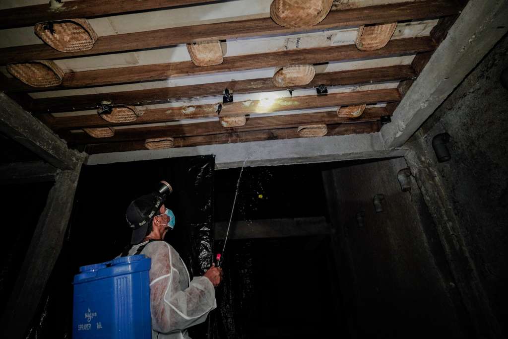 Nest Harvesting 7