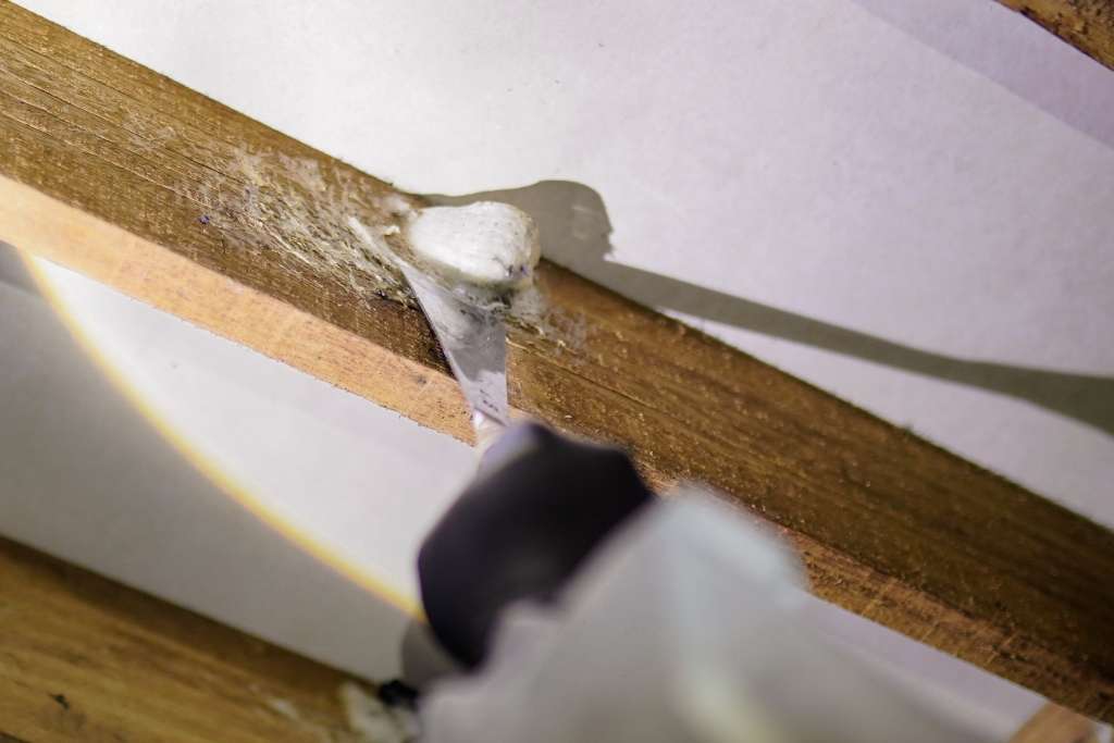 Nest Harvesting 4